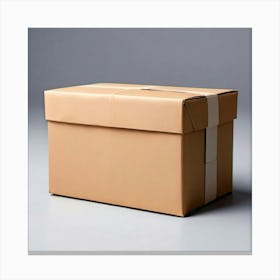 Mock Up Blank Box Parcel Cardboard Customizable Template Unprinted Clean Simple Minimalis (20) Canvas Print