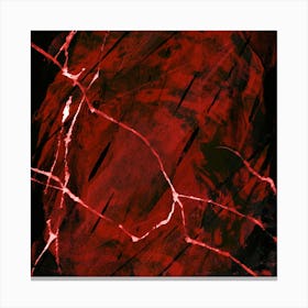 Red Heart abstraction Canvas Print