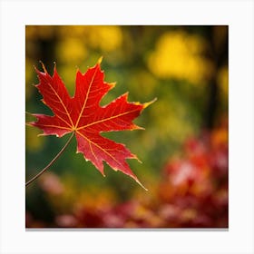 Maple Leaf Canvas Print