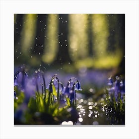 Woodland Puddles and Bluebell Flowers Canvas Print