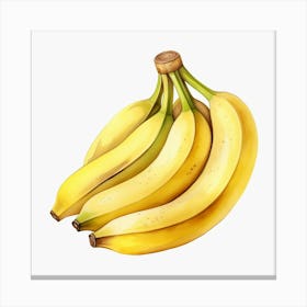 Bunch Of Bananas Canvas Print