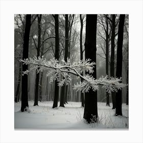 Winter Forest Canvas Print