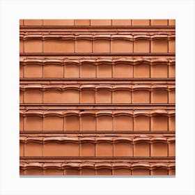 Terracotta Tile Canvas Print