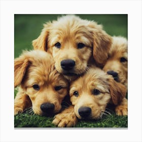 Golden Retriever Puppies 2 Canvas Print
