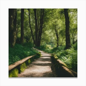 Path In The Woods 14 Canvas Print