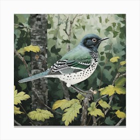 Ohara Koson Inspired Bird Painting Hermit Thrush 2 Square Canvas Print