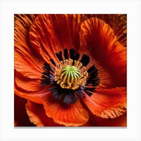 Ethereal poppy flower 6 Canvas Print