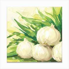 White Garlic Canvas Print