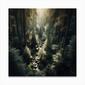 Forest Stream Canvas Print