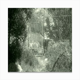 Old door Canvas Print