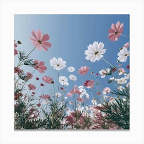 Cosmos 33 Canvas Print