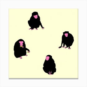 Four Monkeys Square Canvas Print