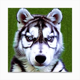 Husky Tiger 4 ( Fromhifitowifi ) Canvas Print