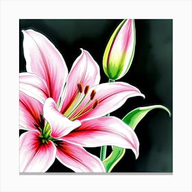 Pink Lily 11 Canvas Print