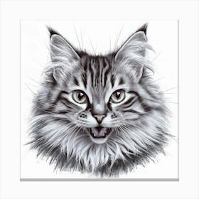 A Vibrant And Dynamic Pencil Portrait Of A Cat Canvas Print