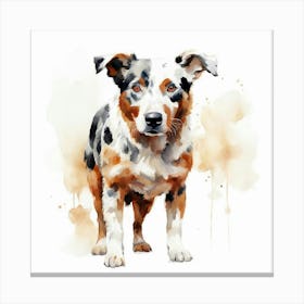 Australian Shepherd 1 Canvas Print