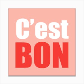 Cest Bon Pink And Red Square Canvas Print