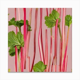 Rhubarb 44 Canvas Print