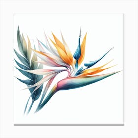 Flower of Bird of Paradise Canvas Print