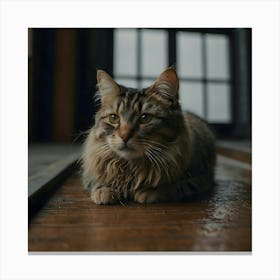 Cat On The Floor Canvas Print