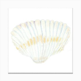 Seashell watercolor Canvas Print