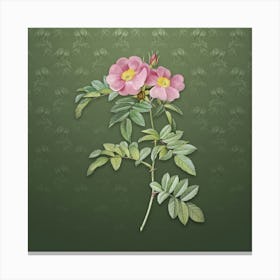 Vintage Shining Rosa Lucida Botanical on Lunar Green Pattern n.0355 Canvas Print