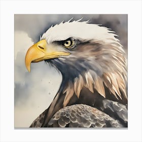 Watercolour Bald Eagle 5 Canvas Print