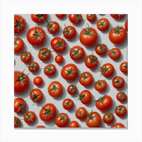 Tomatoes On A White Background 3 Canvas Print