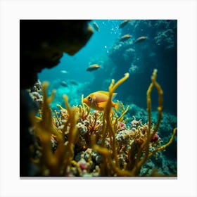 Coral Reef 19 Canvas Print