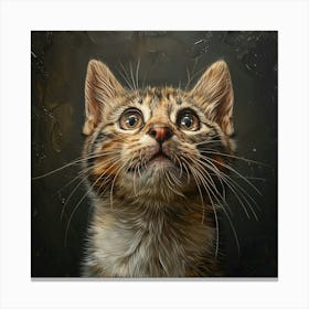 Animal Cat Mammal Pet Feline Cute Portrait Kitty Face Eyes Canvas Print