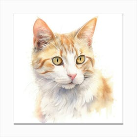 Honeybear Cat Portrait 1 Canvas Print