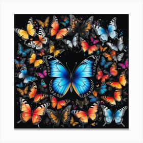 Colorful Butterflies Canvas Print