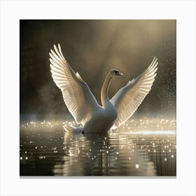 Swan in water Canvas Print