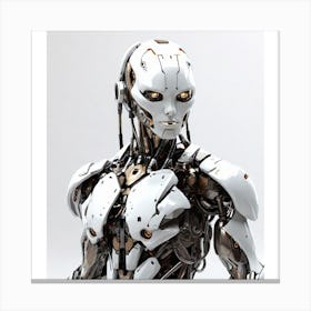 Robot 1 Canvas Print