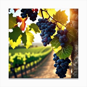 Grapes On The Vine 13 Canvas Print