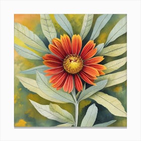 Daisy Canvas Print