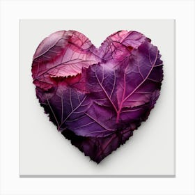 Heart Of Purple Cabbage Canvas Print