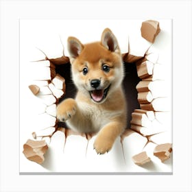 Shiba Inu 2 Canvas Print