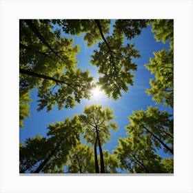 Sun Shining Through A Forest Canvas Print