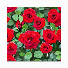 Red Roses 2 Canvas Print