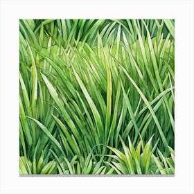 Green Grass Seamless Pattern Canvas Print