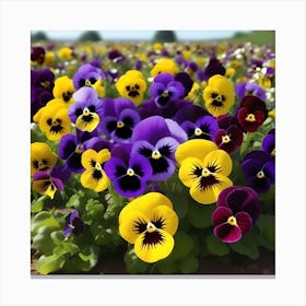 WILD PANSI FLOWERS Canvas Print