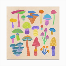 Rainbow mushroom selection Canvas Print