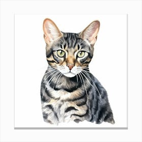 Black Bengal Cat Portrait 2 Canvas Print