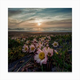 Pink Flowers On The Beach Canvas Print