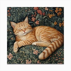 Cat Sleeping Art Canvas Print