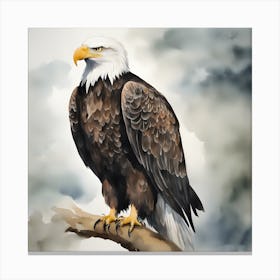 Watercolour Bald Eagle 1 Canvas Print