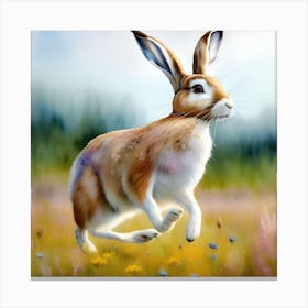 Hare Running In Yellow Meadow Scottish Highlands Canvas Print