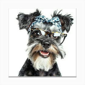 Schnauzer 43 Canvas Print