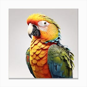 Colorful Parrot Canvas Print